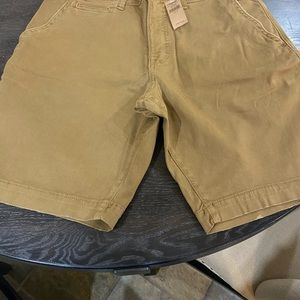 American Eagle Men’s Shorts